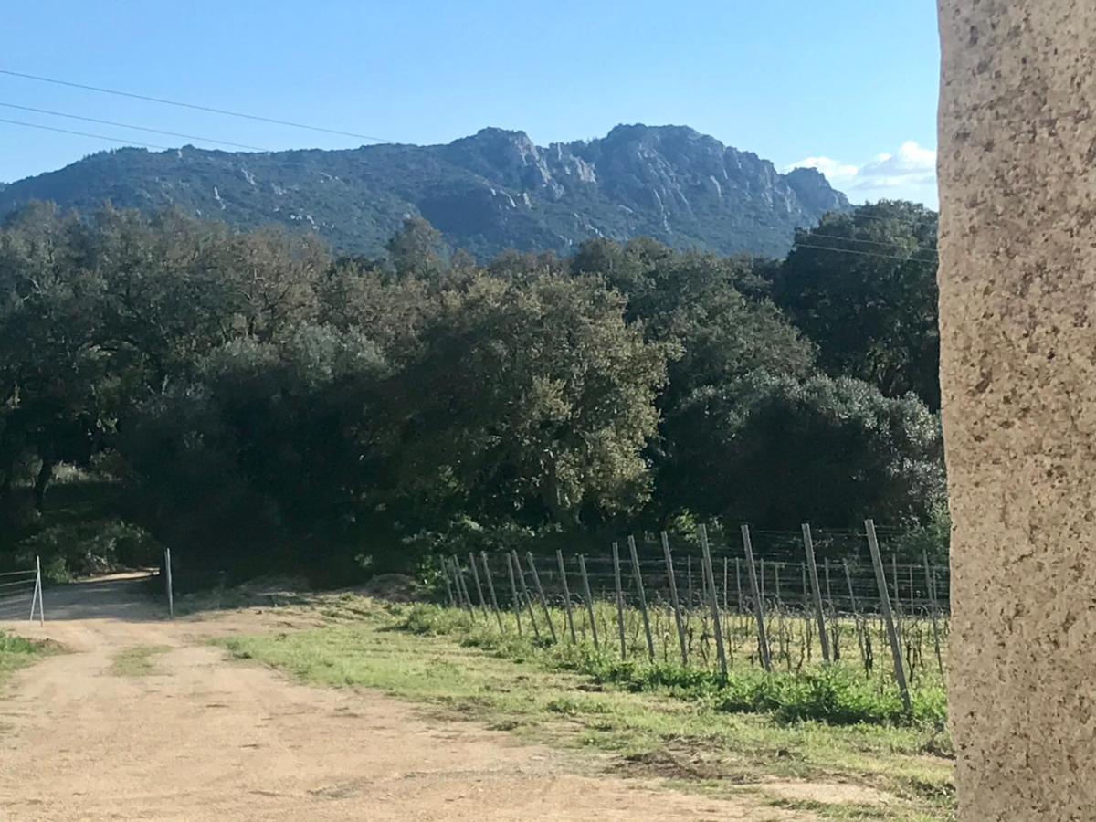 Elegant Country Open Space Deluxe Tenuta Piredu -Monti-Olbia ภายนอก รูปภาพ