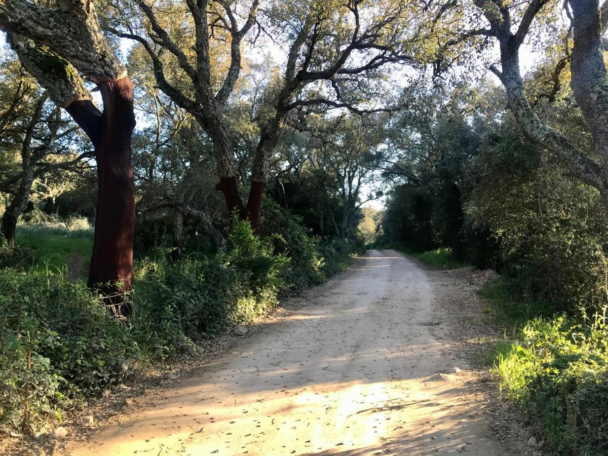Elegant Country Open Space Deluxe Tenuta Piredu -Monti-Olbia ภายนอก รูปภาพ