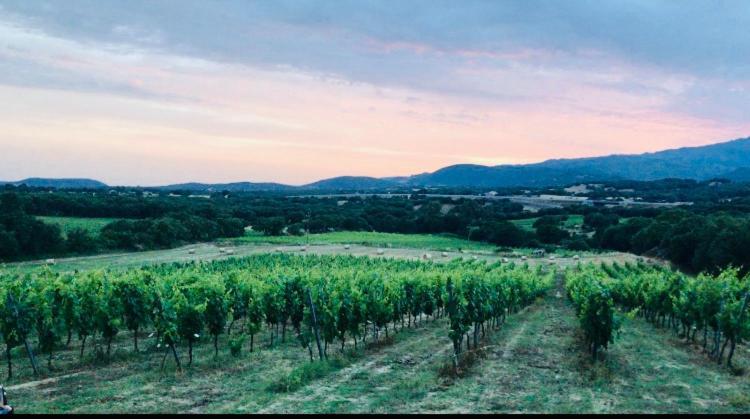 Elegant Country Open Space Deluxe Tenuta Piredu -Monti-Olbia ภายนอก รูปภาพ