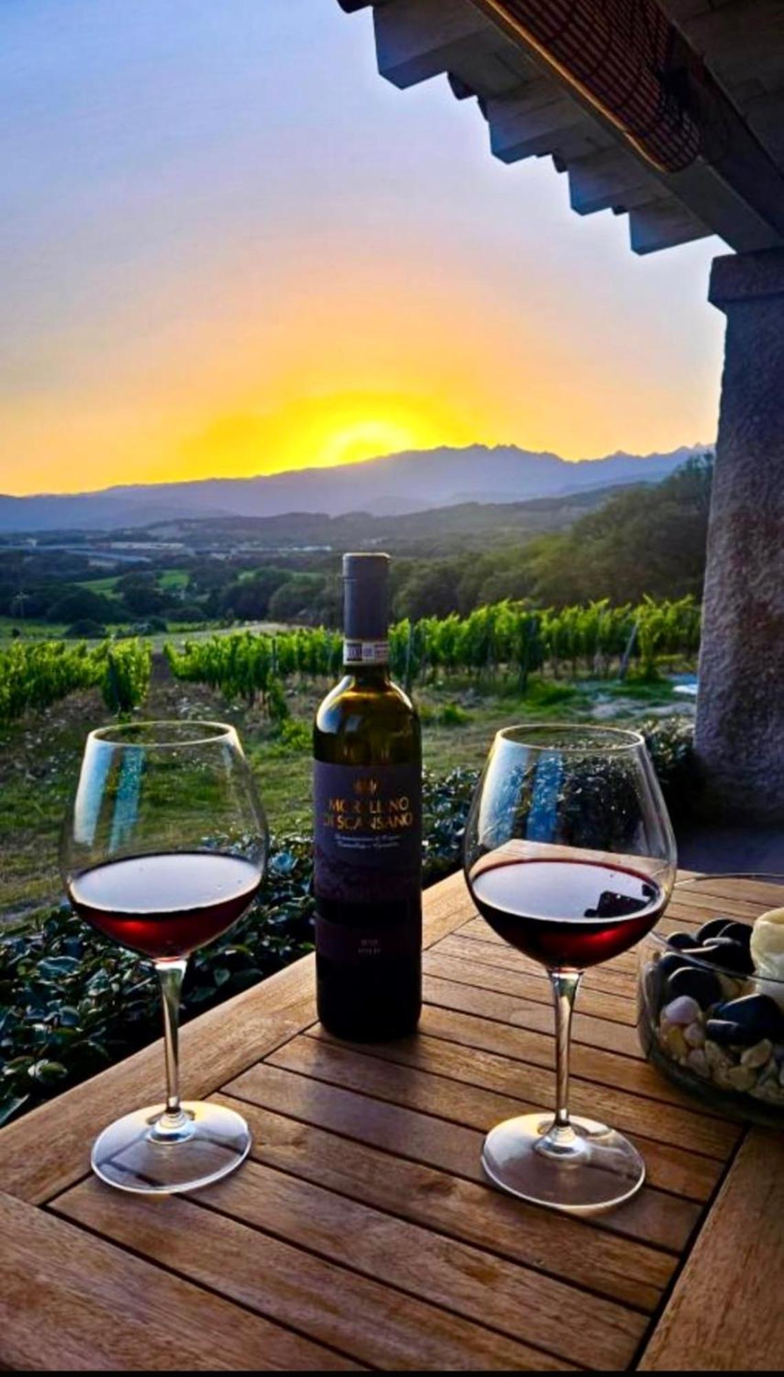 Elegant Country Open Space Deluxe Tenuta Piredu -Monti-Olbia ภายนอก รูปภาพ